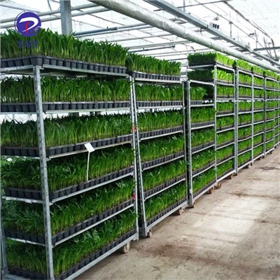 Pp Hyller Nursery Plant Cart
